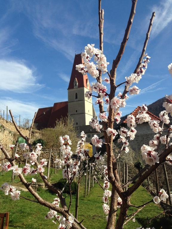 Gaestehaus Haiminger Ehemalig Schmelz Weissenkirchen in der Wachau Zewnętrze zdjęcie