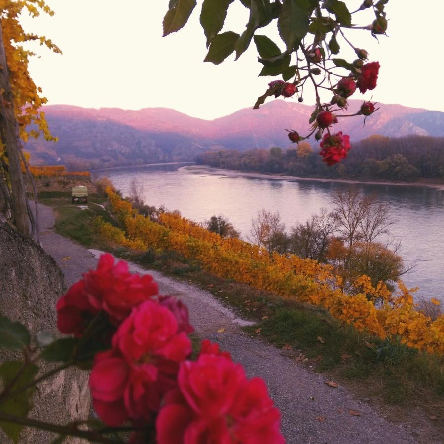 Gaestehaus Haiminger Ehemalig Schmelz Weissenkirchen in der Wachau Zewnętrze zdjęcie